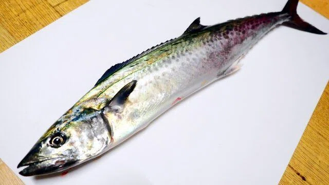サワラの刺身