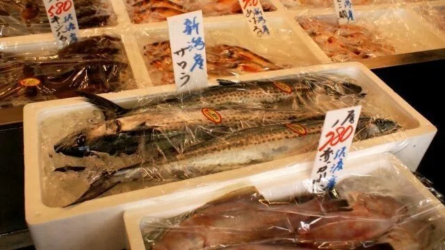 新鮮なサワラ