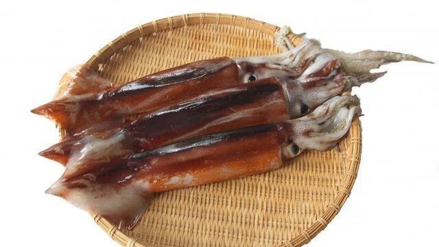 イカの刺身
