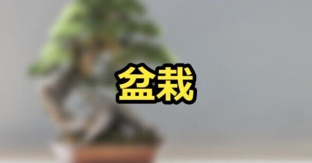 盆栽の樹形