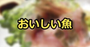 刺身で食べたいおいしい魚介類